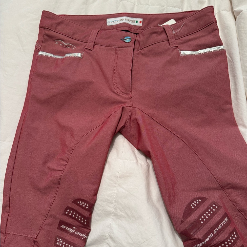Animo Breeches